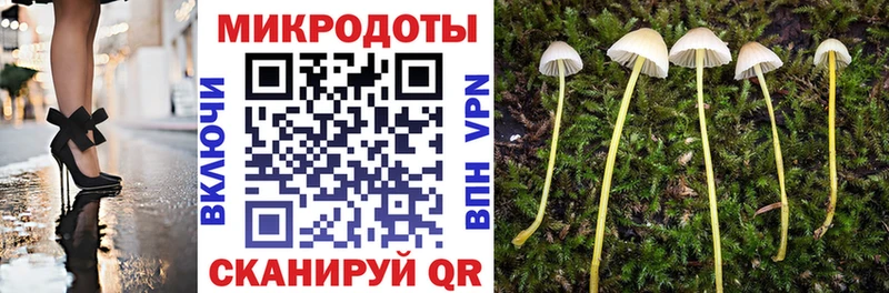 купить цена Нерехта Галлюциногенные грибы ЛСД